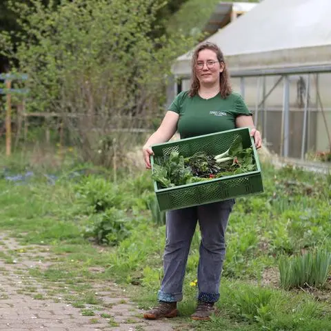 Laura Heun hat im Jahr 2020 die Werdorfer Gärtnerei „Junges Gemüse“ eröffnet. Ein Jahr später folgt die Gründung des Vereins „Junges Gemüse e.V.“, mit dem Zweck der Förderung des Umweltschutzes.  Gearbeitet wird nach soziokratischen Prinzipien, mit flachen Hierarchien, Feedbackschleifen, speziellen Moderationsmethoden und Wissensmanagement. 