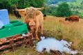 Irritiertes Vieh, Schaum auf der Wiese: So fanden die Niederschelder Vogelschützer am Donnerstagmorgen die Tränke für die Highland-Rinder vor.