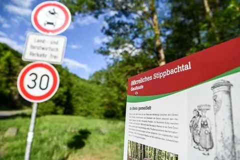 Der Stippbachweg zwischen Sinn, Kölschhausen und Dreisbach ist seit Jahren ein Zankapfel zwischen den Gemeinden Sinn und Ehringshausen. Der Weg ist nicht als Straße gewidmet. In dem Tal leben unter anderem Feuersalamander, Wildkatzen und Zauneidechsen. Nach Angaben von Sinns Bürgermeister Michael Krenos arbeitet der Lahn-Dill-Kreis derzeit eine Lösung für den Streit aus.