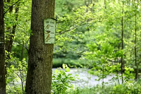 Entlang des Stippbachwegs zwischen Sinn, Kölschhausen und Dreisbach weisen Infotafeln auf die Tierwelt in diesem Tal hin. 