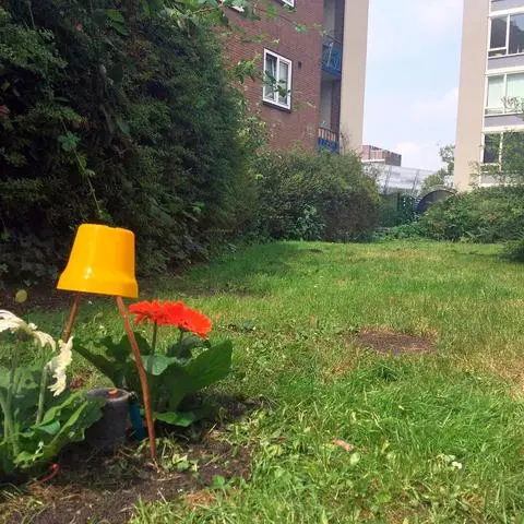 Eine brennende Kerze und Blumen markieren die Stelle in dem Amsterdamer Hinterhof, an der Sammy B. durch drei Schüsse der Polizei getötet wurde.