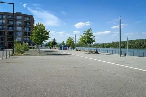 In Mainz sorgen viele versiegelte Flächen immer wieder für Unmut. Unter anderem die Gestaltung der neuen Wohnquartiere am Zollhafen mit viel Asphalt und wenig Grün wurde in der Stadt deutlich kritisiert.