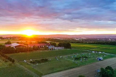 Ein Bild aus dem Sommer 2020: Auf der Wiese unterhalb des Hofguts hatte es an mehreren Wochenenden Picknick-Veranstaltungen mit Musik gegeben.