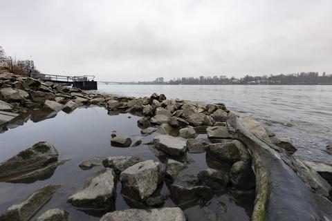 Bild vom Rheinufer mit Blick auf den Fluss, im Vordergrund Steine.