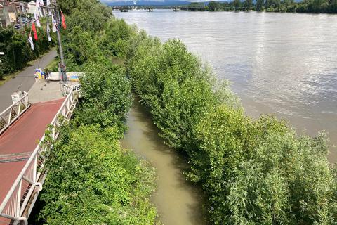 Hochwasser am Weisenauer Rheinufer. Denise Frommeyer
