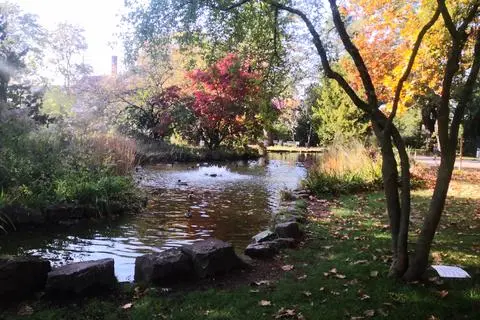 Der Teich im Rüsselsheimer Verna Park, an dem sich das Unglück ereignete.  Foto: Olaf Kern 