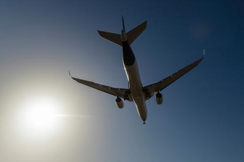 Stechmücke im Gepäck? In Frankfurt ist wohl ein Flugzeug mit einer solchen Fracht gelandet.