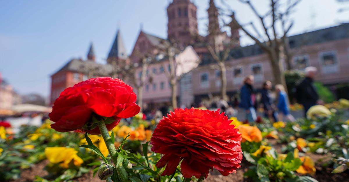 Frühsommerwetter: Sonne und bis zu 23 Grad in Rheinland-Pfalz und Hessen
