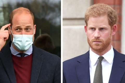 Prinz William (links) und sein jüngerer Bruder Harry erheben schwere Vorwürfe gegen die BBC. Fotos: dpa/Montage: vrm