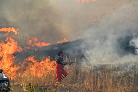 Freiwillige Helfer versuchen den Brand in der Gemeinde Blufi in den oberen Madonien nahe Palermo unter Kontrolle zu bringen. Sizilien, Sardinien, Kalabrien und auch Mittelitalien, wo Temperaturen in Rekordhöhe erwartet werden, wurden von Waldbränden schwer getroffen. Foto: dpa