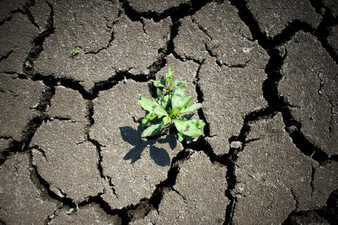 Der Klimawandel ist in Deutschland aus verschiedenen Gründen stärker zu spüren als im Durchschnitt auf der Erde. Weltweit stieg die Temperatur um durchschnittlich rund 1,1 Grad über das vorindustrielle Niveau, in Deutschland um rund 1,6 Grad seit 1881. Foto: dpa
