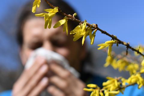 Eine laufende Nase kann ein Symptom von Heuschnupfen und Corona sein. Die Farbe der Schnupfenflüssigkeit ist dabei ein erstes Indiz für die Eigendiagnose. Symbolbild: Angelika Warmuth/dpa