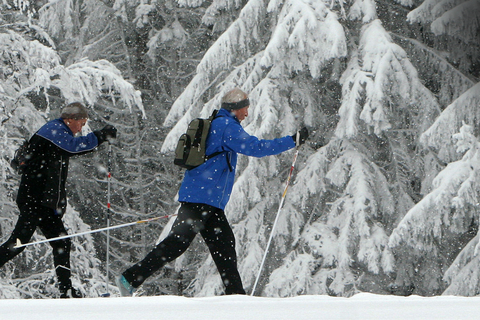 Neben Abfahrt & Co bietet sich auch der Skilanglauf für Senioren als gute Alternative an. Foto: dpa