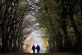 Ein Herbstspaziergang ist auch in der Corona-Zeit möglich. Licht und Luft hellen die Stimmung auf.