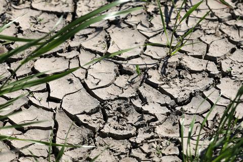 Längere Trockenperioden können Auswirkungen auf das Grundwasser und die Fruchtbarkeit der Felder haben - wie hier in Mecklenburg-Vorpommern.  Foto: dpa/Bernd Wüstneck