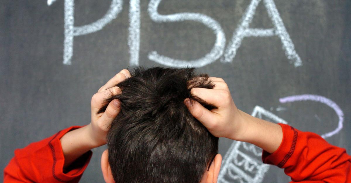 'Bild': Deutschland sackt bei Pisa-Studie weiter ab