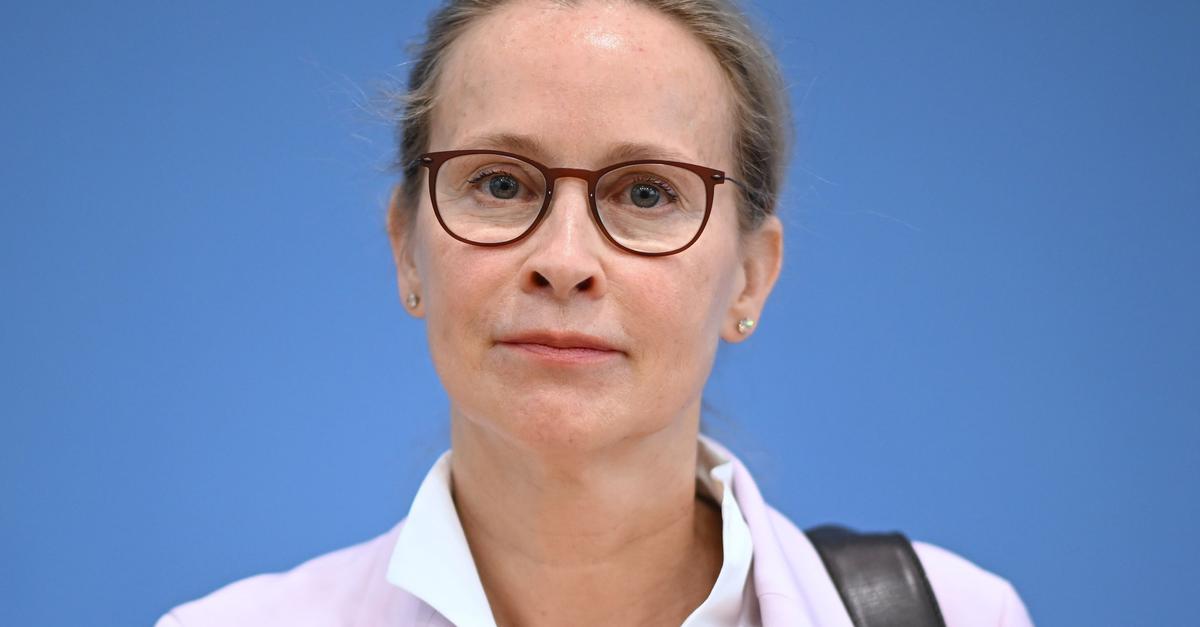 Frauke Brosius-Gersdorf's resignation: Many losers