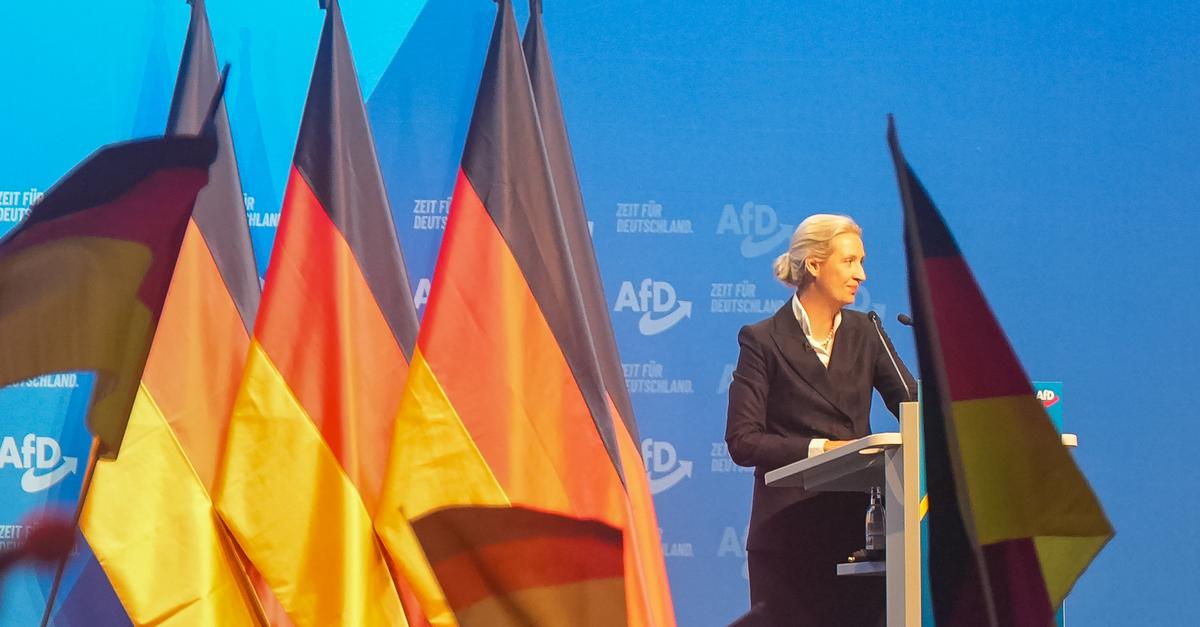 Federal party conference: The AfD wants to rule without being held ...