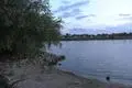 An dieser Stelle in Trebur gingen ein Fünfjähriger und seine Mutter in den Rhein.