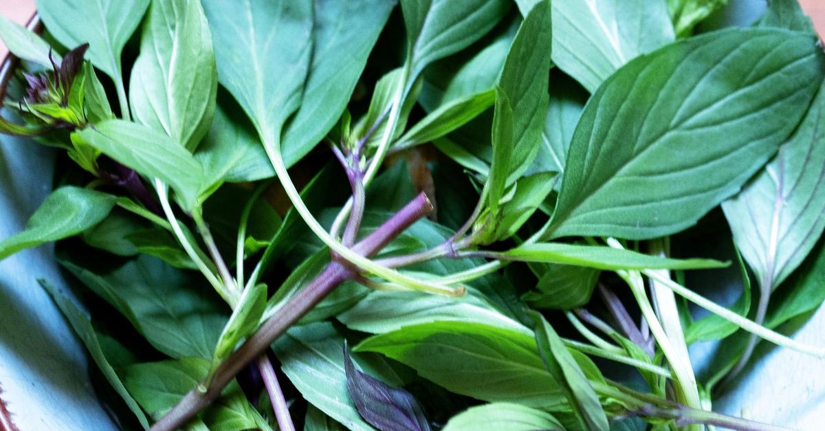 Mal zitronig, mal zimtig: Das ist Thai-Basilikum