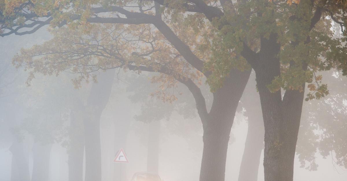 Todesfalle Nebel Wie Sie Auserorts Bei Dichtem Nebel Sicher Ankommen