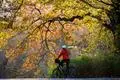 Sicher durch den Herbst: Fahrradfahrer sollten auf passenden Reifendruck, eingeschaltetes Licht und gepflegte Bremsen und Ketten achten.