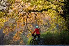 Sicher durch den Herbst: Fahrradfahrer sollten auf passenden Reifendruck, eingeschaltetes Licht und gepflegte Bremsen und Ketten achten.