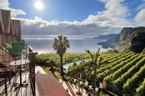 Blick auf die Weinreben des Weingut-Hotels Quinta do Furão