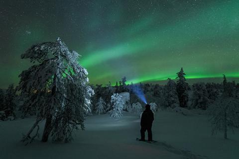 Polarlichter sind während des Winters im hohen Norden besonders gut zu sehen. © Thomas Kast/dpa-tmn