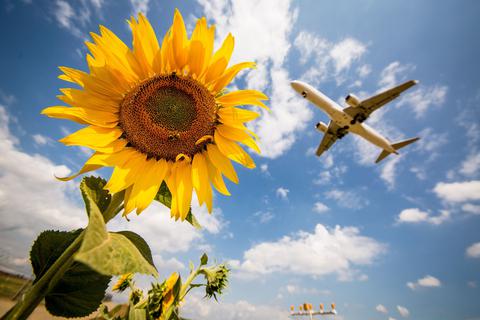 Fliegen ist zwar schlecht für die Umwelt, trotzdem gehört für einige Reisende das Fliegen zum Urlaub einfach dazu. 