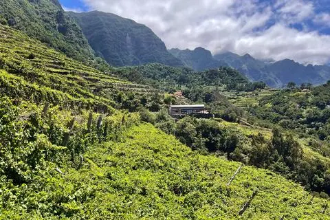 Weingut Quinta do Barbusano im Tal von São Vicente