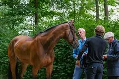 VetCheck
pfitu - Reiten - Longines Pfingstturnier 2025 - 06.06.2025,