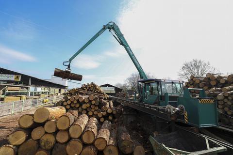 Rund 4000 Festmeter Holz werden in dem Lengfelder Betrieb im Jahr verarbeitet, ausschließlich Eiche aus hessischen Wäldern. Foto: Guido Schiek